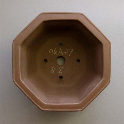 山秋 盆栽鉢 フェイド
