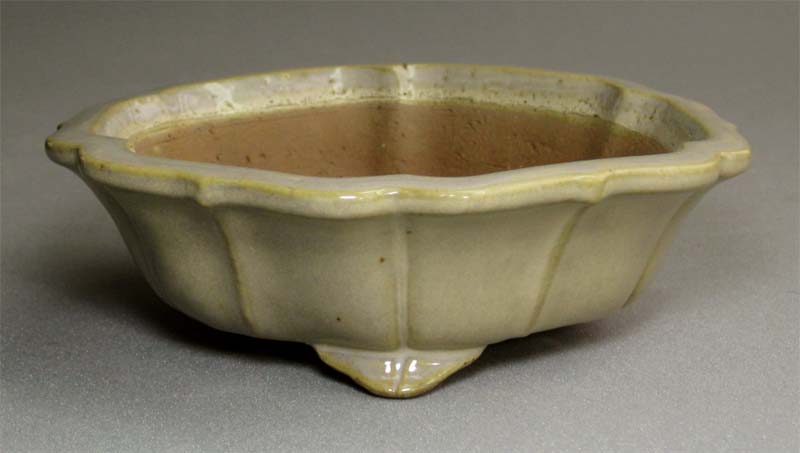 常滑盆栽鉢 #56A40 柴勝作