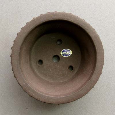 楽天市場】【盆栽鉢】 時代鉢 喜仙作 烏泥楕円鉢（左右47.5cm