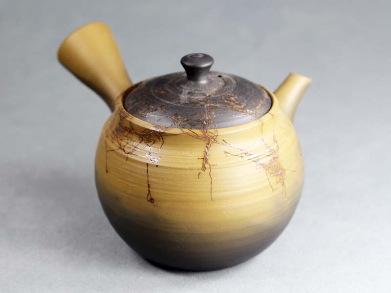 Tokoname Teapot, hakusan067