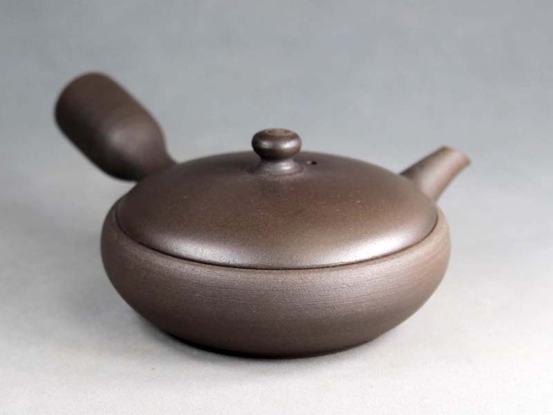 Tokoname Teapot, Jinshu0101